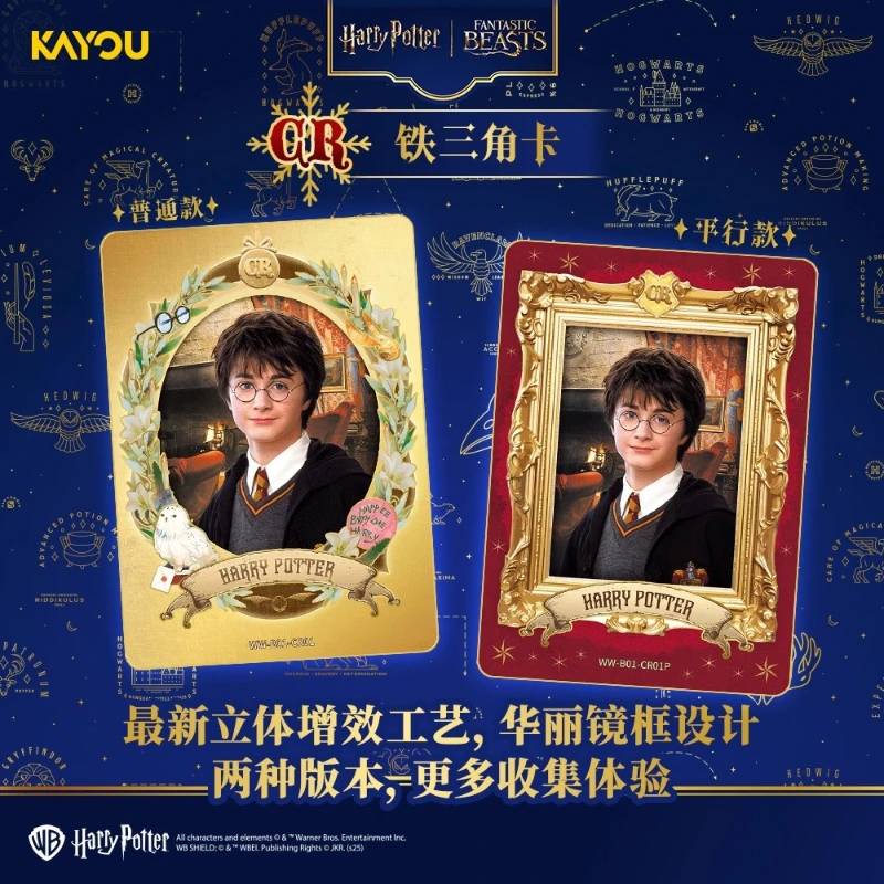 KAYOU New Harry Potter Wizardi - огляд і ціна Anime Merchandise Bd